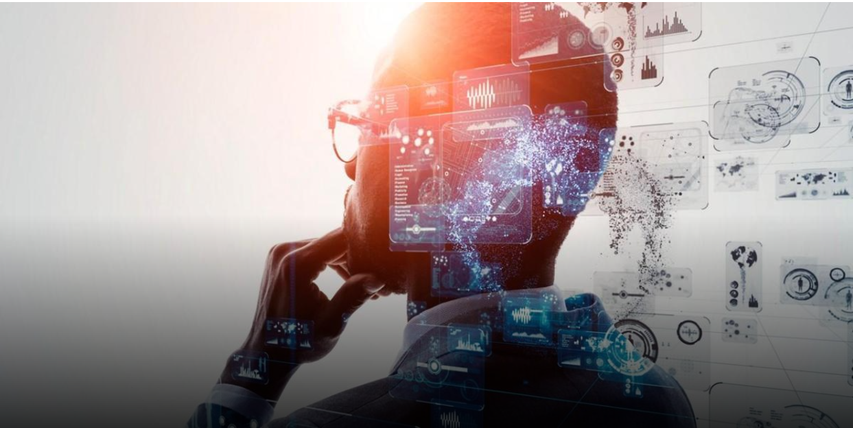 Descripción de la imagen 1