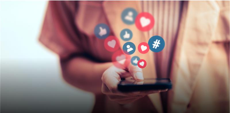 Descripción de la imagen 2